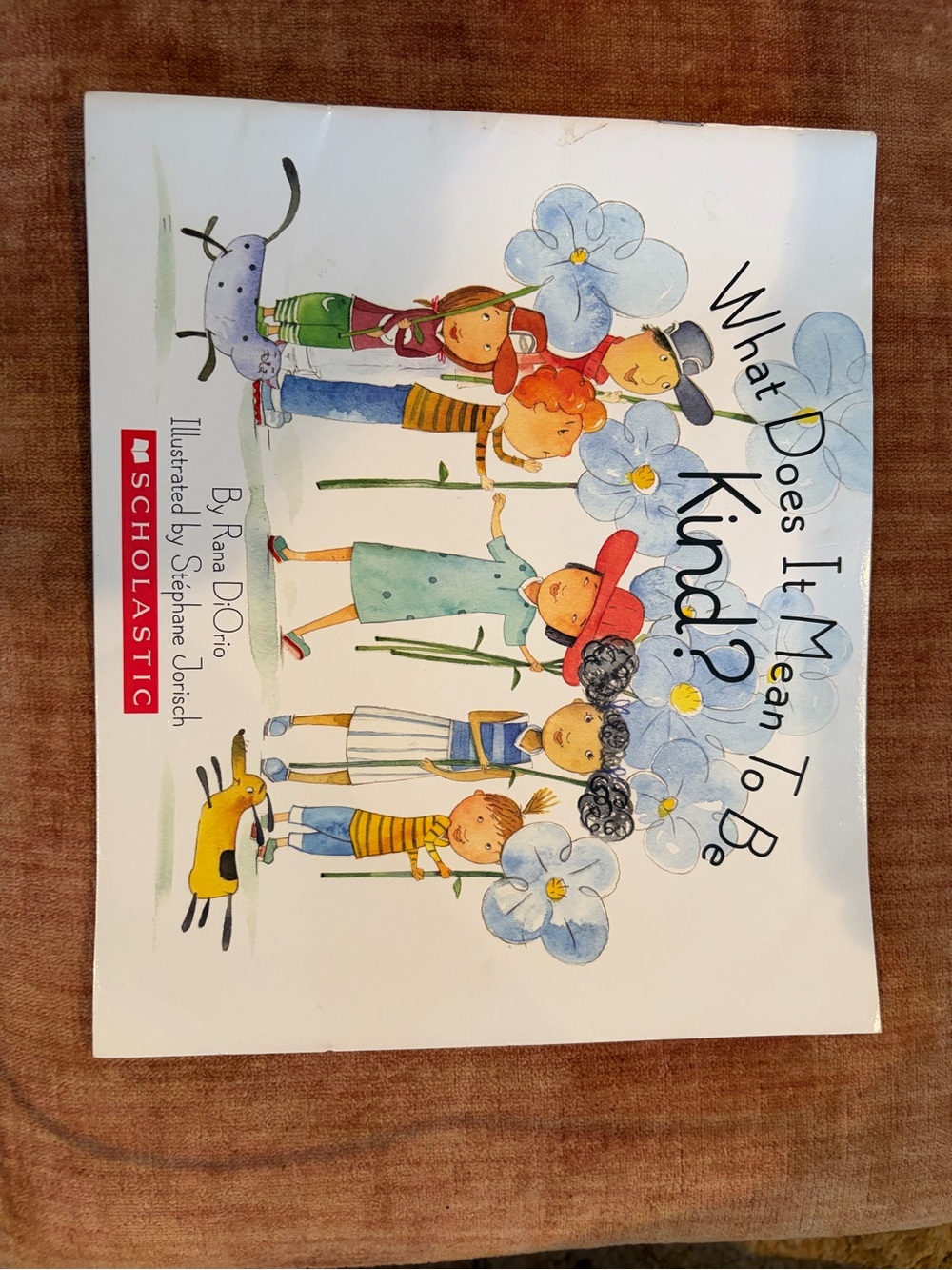 Scholastic Children's Book - White, Blue, Red, Yellow, Green Cover